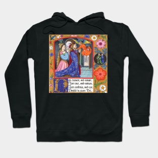 Non Clamor Medieval Illumination Hoodie